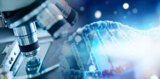 DNA sample under microscope