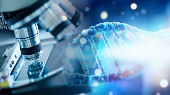 DNA sample under microscope