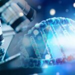 DNA sample under microscope