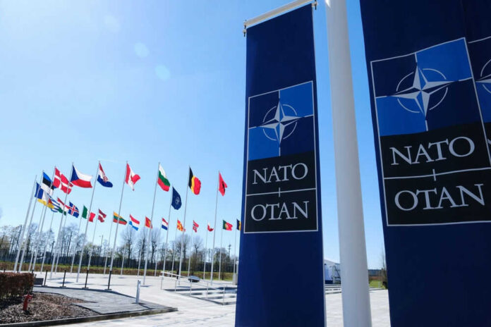 NATO flags flying under clear blue sky