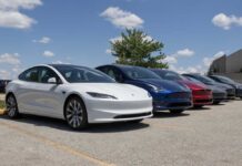 A lineup of electric vehicles parked outdoors under a blue sky