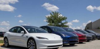 A lineup of electric vehicles parked outdoors under a blue sky