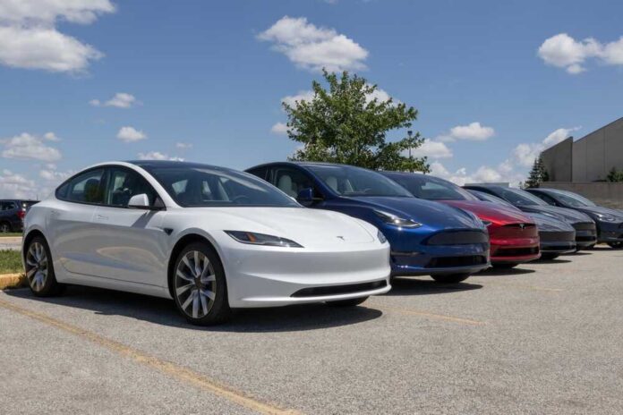 A lineup of electric vehicles parked outdoors under a blue sky
