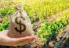 A hand holding a burlap money bag with a dollar sign in a green agricultural field
