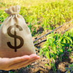 Fertilizer Prices SPIKE Overnight — Farmers Slammed A hand holding a burlap money bag with a dollar sign in a green agricultural field