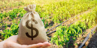 A hand holding a burlap money bag with a dollar sign in a green agricultural field