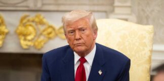 President Donald Trump